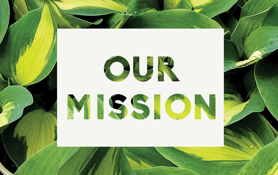 Our Mission