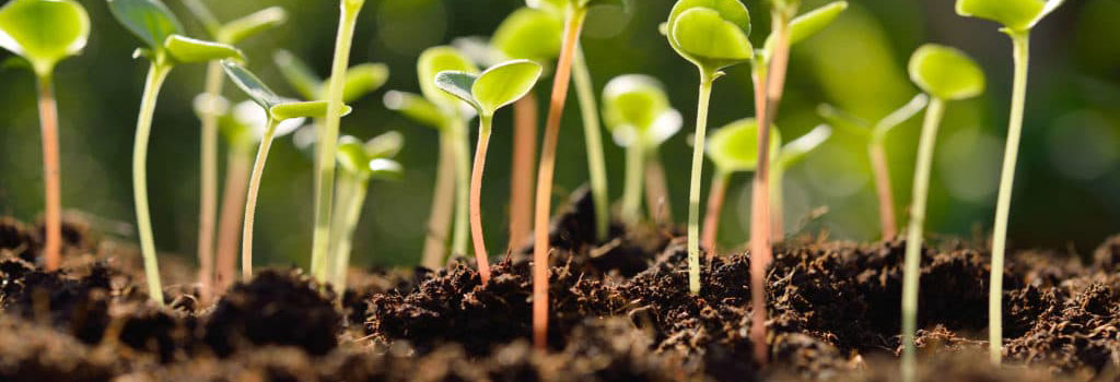 INSTRUCTIONAL VIDEOS