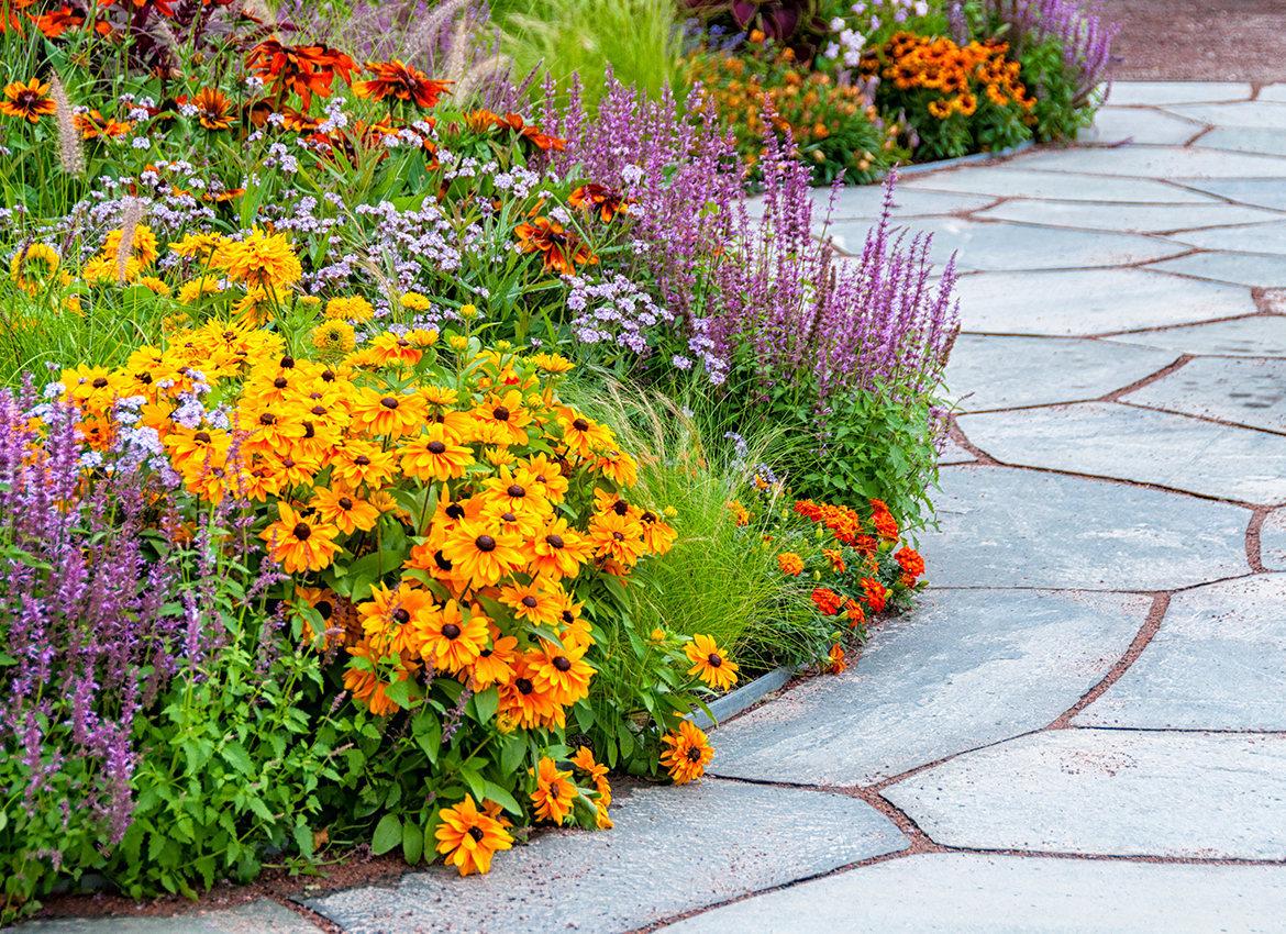 pollinator_Garden