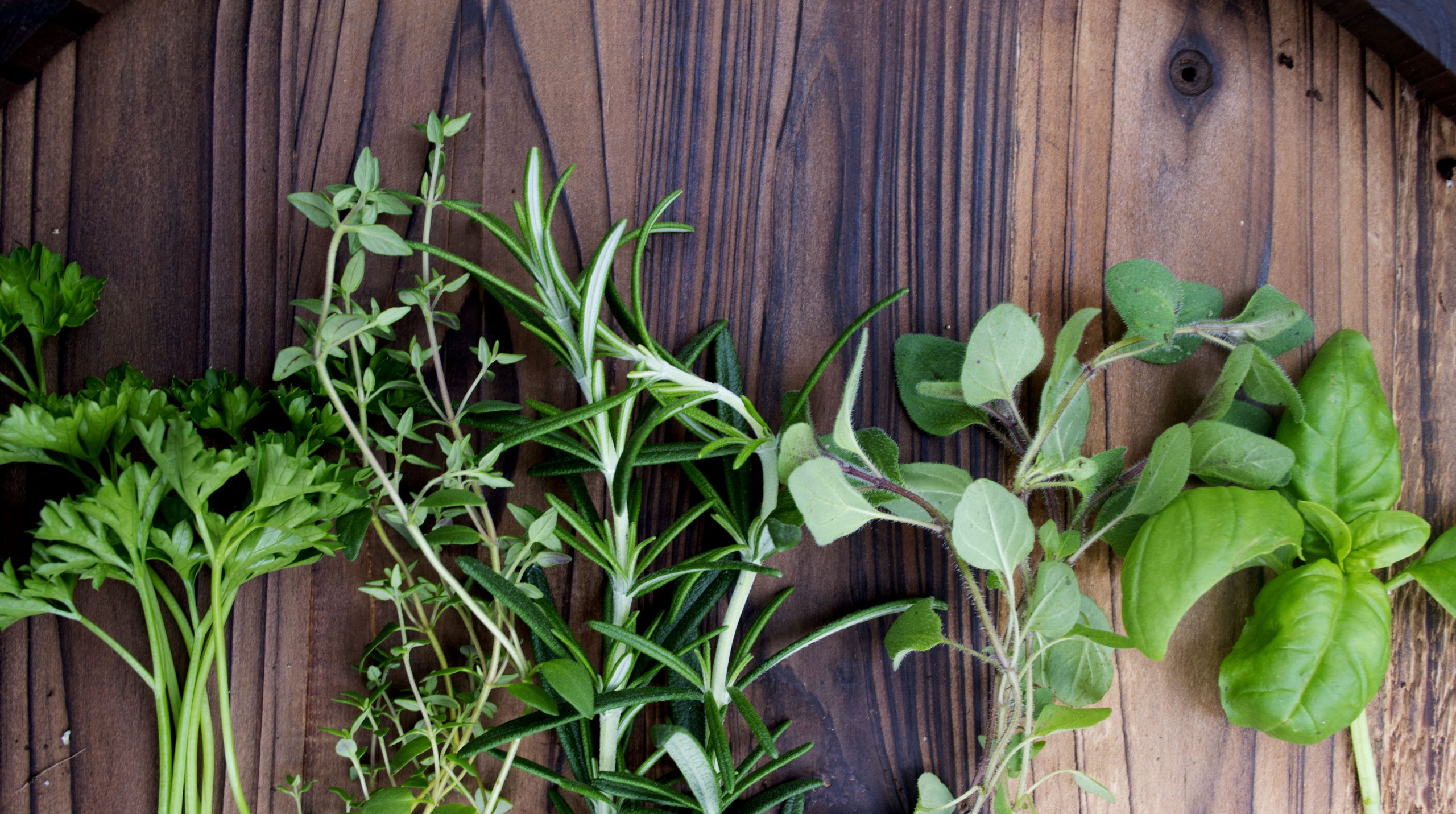 DIY Herb Garden