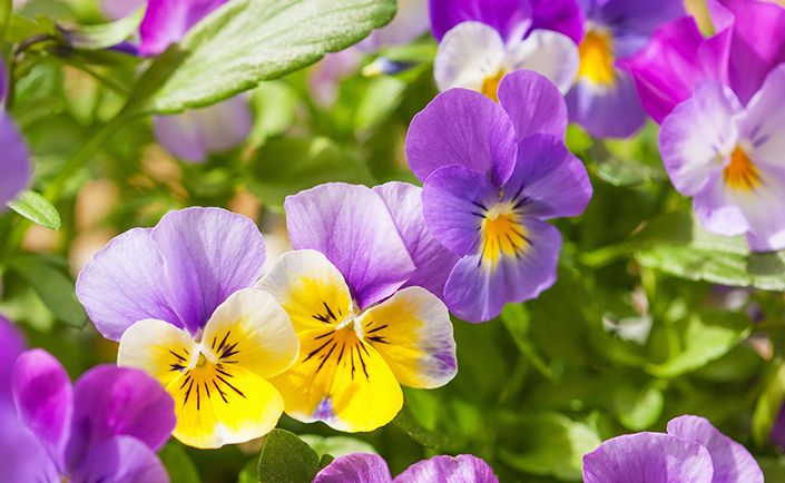 Community Engagement